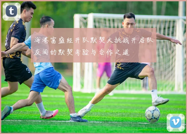 海港富盛经开队默契大挑战开启队友间的默契考验与合作之道